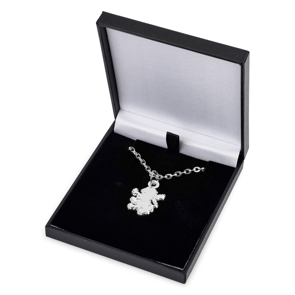Aston Villa FC silver plated Villa lion pendant on a chain necklace with a lobster clasp, in a gift box