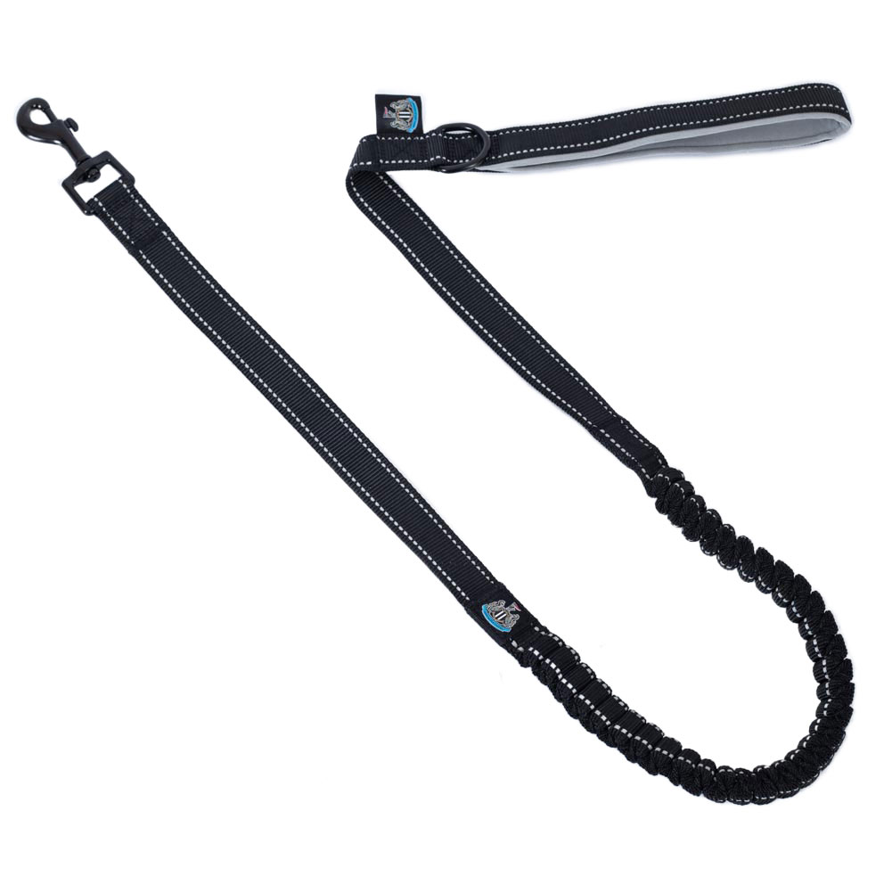Newcastle United FC reflective bungee dog lead with a shock absorbing bungee section on a backing card